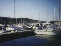 Törn 1996